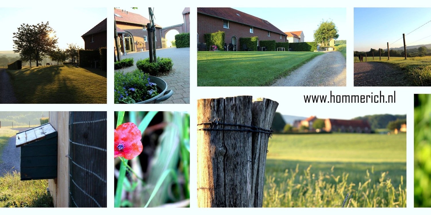 HoeveHommerich's profile banner image