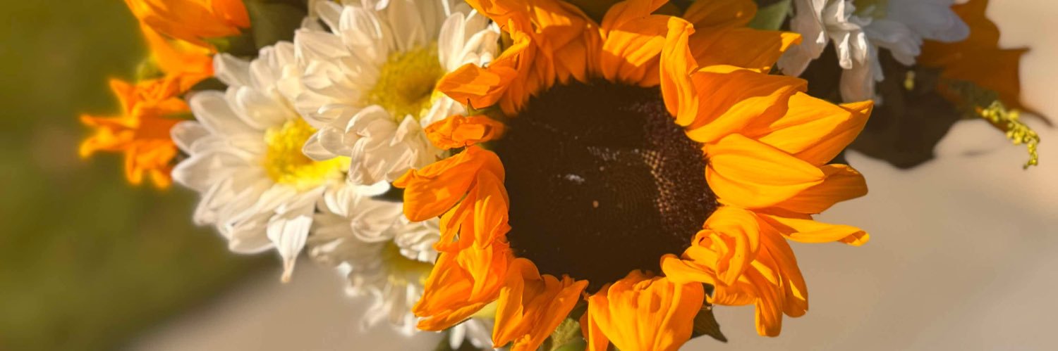 DanielaVargas_0's profile banner image