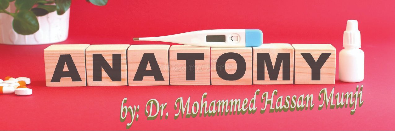 mohammed_munji's profile banner image