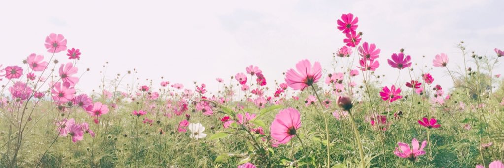 KeepSmile_chi's profile banner image