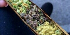 Esco_5's profile banner image