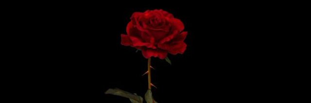 Biah_sribeiro's profile banner image