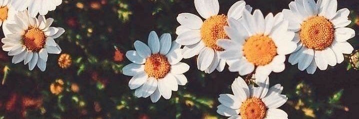 Neus_Herrera's profile banner image