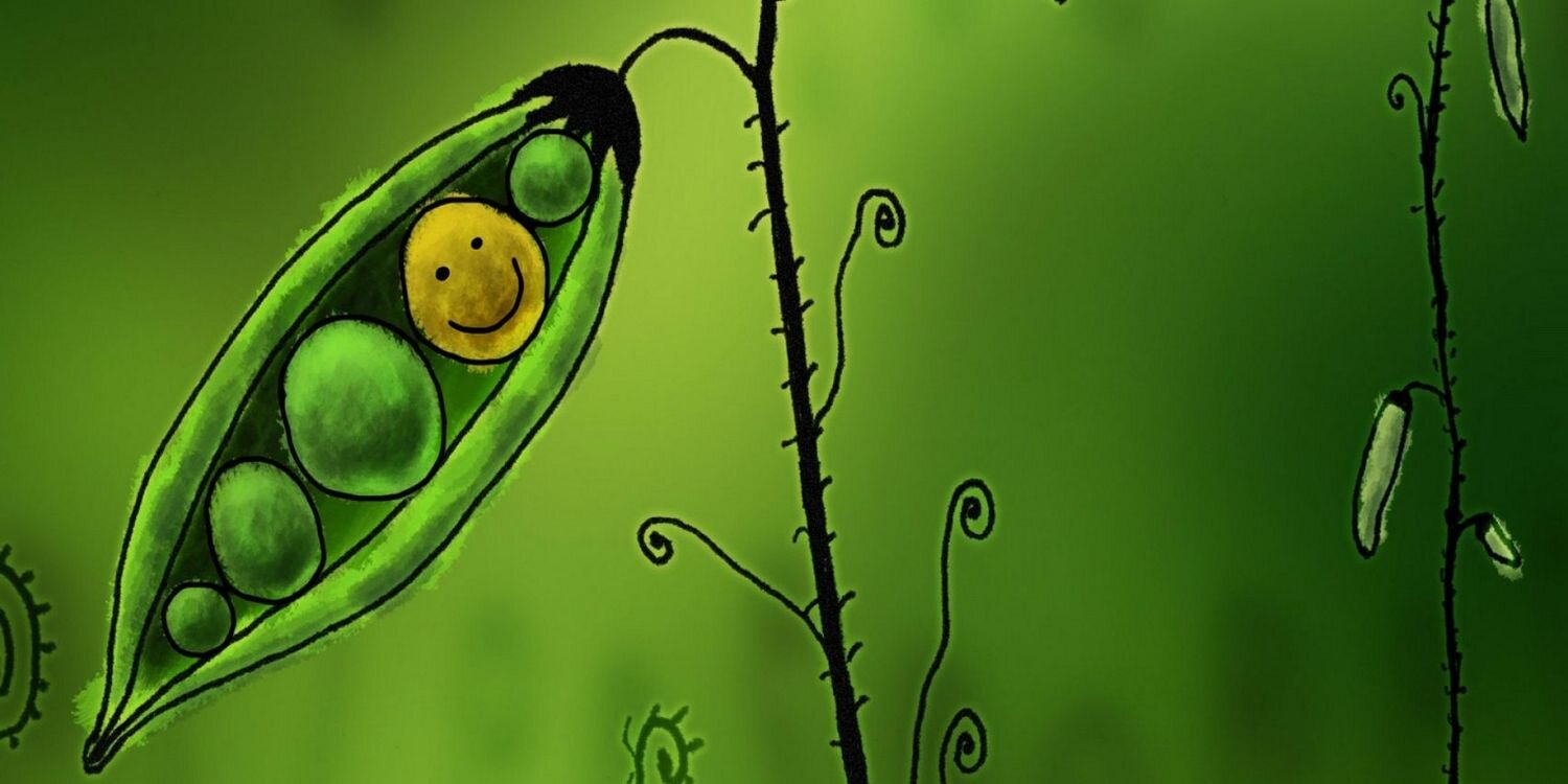 Vegan Tweets banner