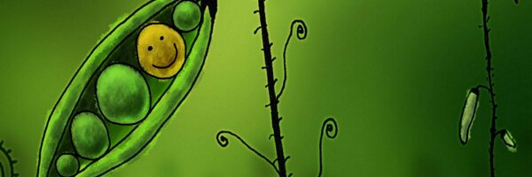 VeganRT Profile Banner