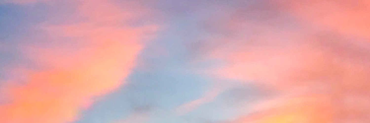 busemiroglu's profile banner image
