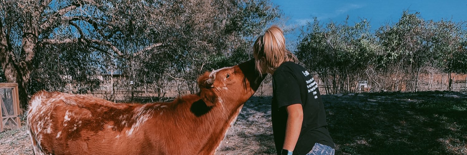 tayy_leander's profile banner image