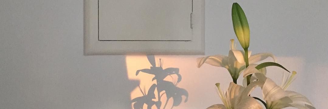 dixlyd's profile banner image