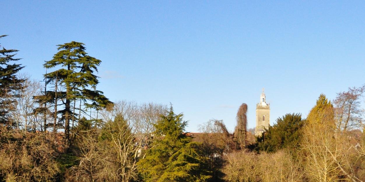 Dorset Forum banner
