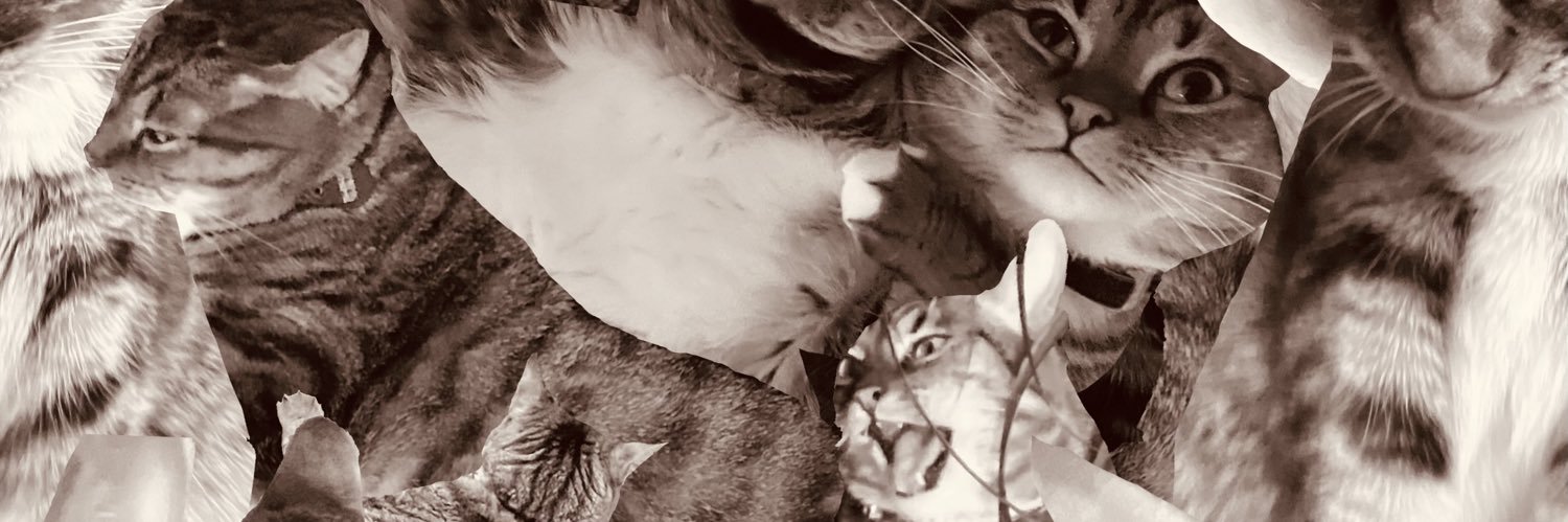 katicupcakes's profile banner image