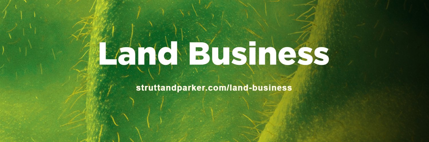 landbusiness's profile banner image