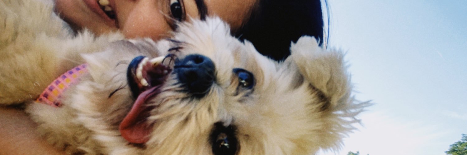 leticialimaf_'s profile banner image