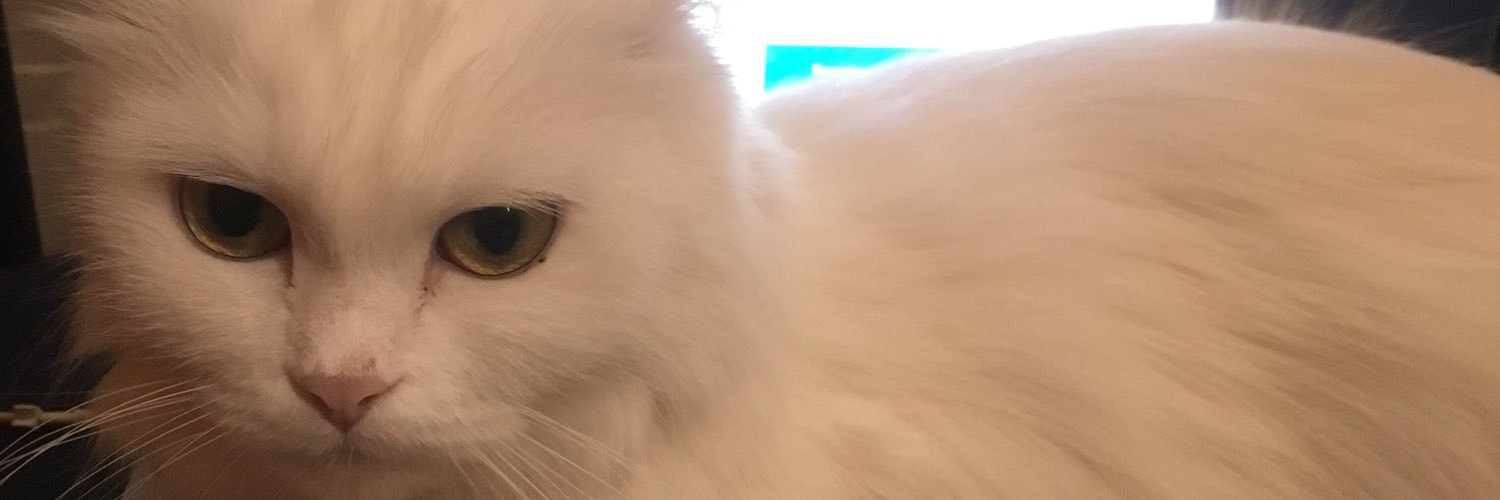 NazmiZainal's profile banner image