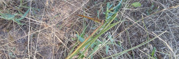 M99163973 Profile Banner