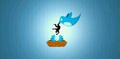 burungbiru__'s profile banner image