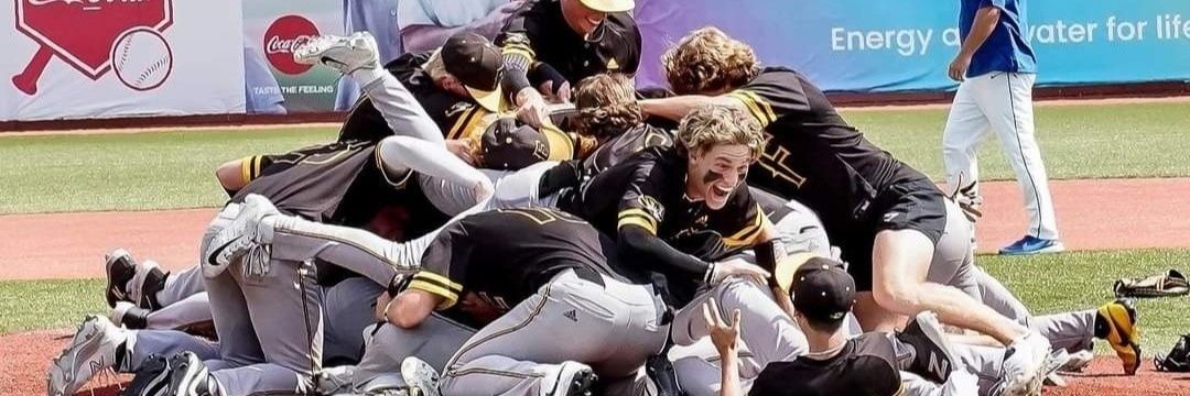 Festus HS Baseball banner