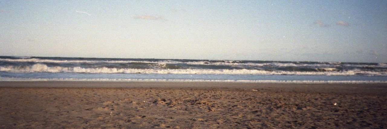 violetavargass's profile banner image