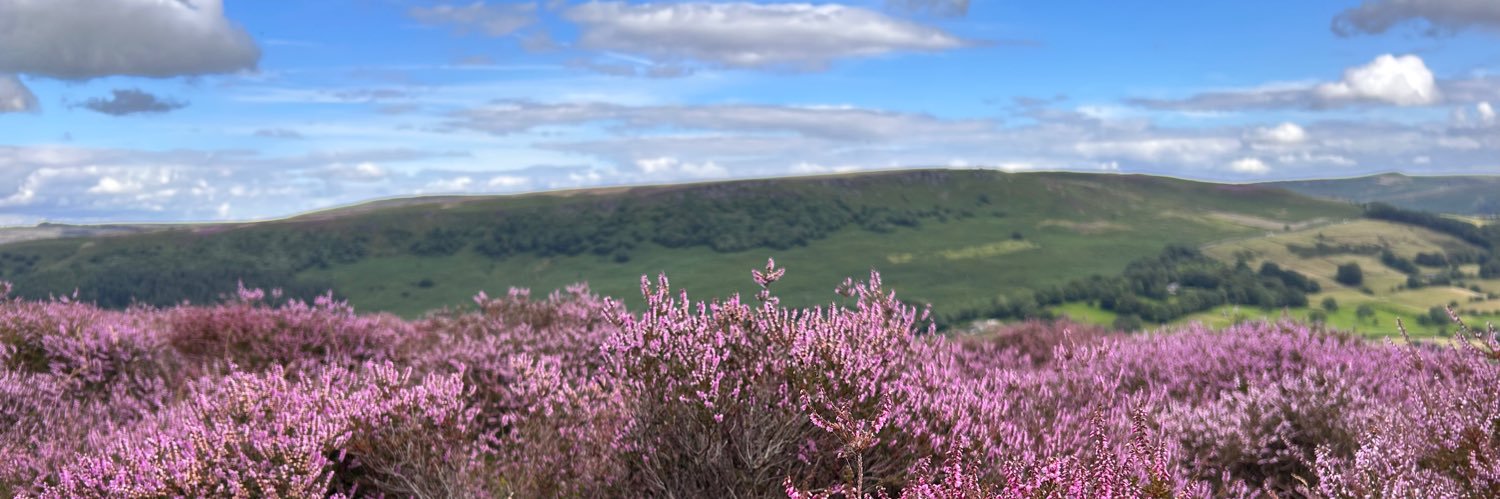 Cath Morley 🐮🐄 banner