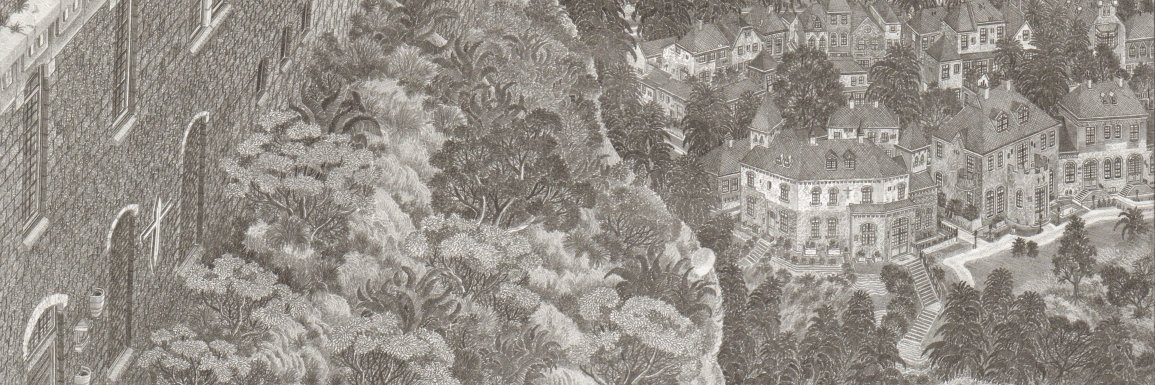 Tim ter Wal banner