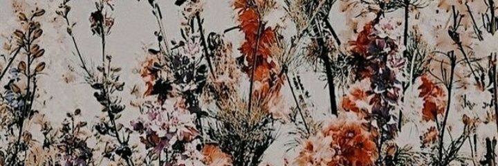 AlejandraBrave's profile banner image