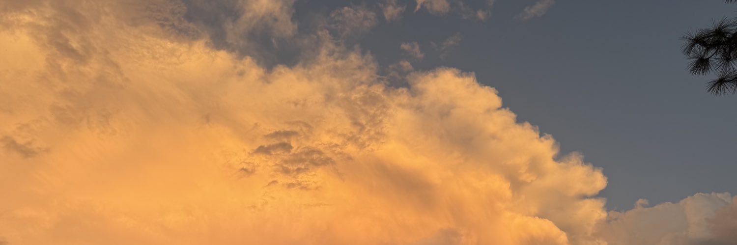 your worst nightmare banner