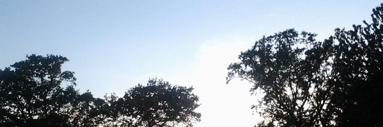 keryougui's profile banner image