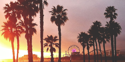 santamonicagdr's profile banner image