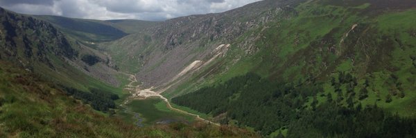 lynchm26 Profile Banner