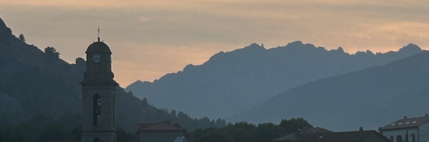 black cat van de kamp banner