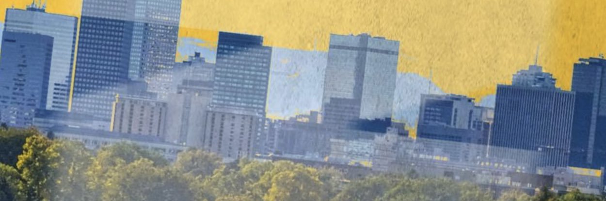 pfeif_'s profile banner image