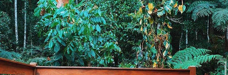 naimatoss's profile banner image