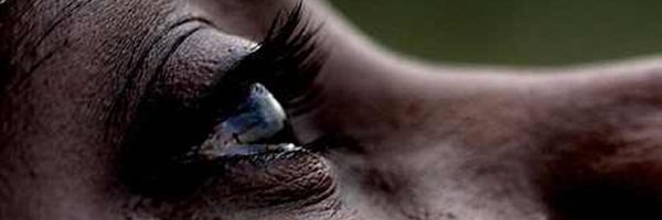 ansakyasalam's profile banner image