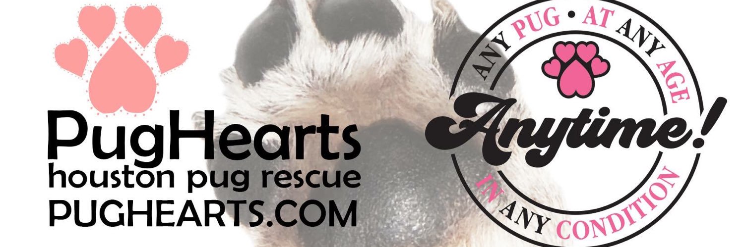 PugHearts of Houston banner