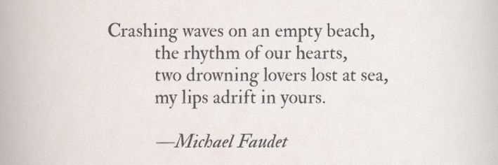 Michael Faudet banner