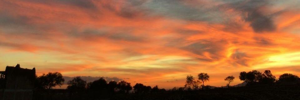 fernanda_aglr's profile banner image