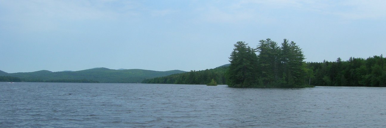 Sarah Ladislaw banner