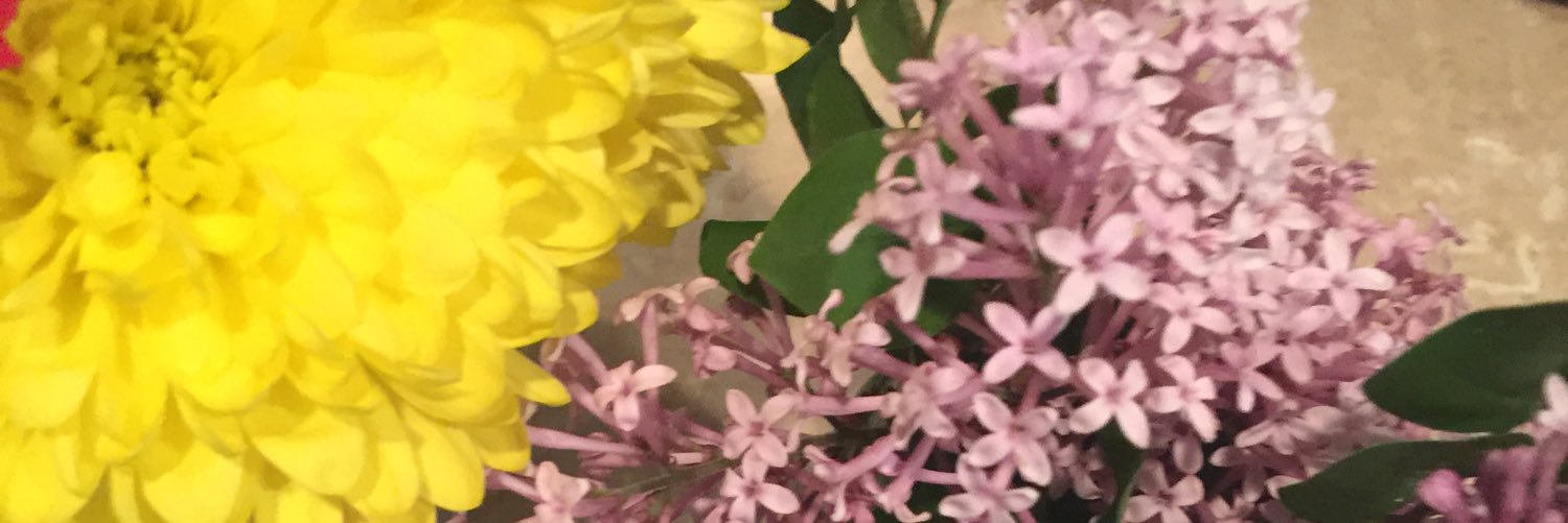 allieoneill02's profile banner image