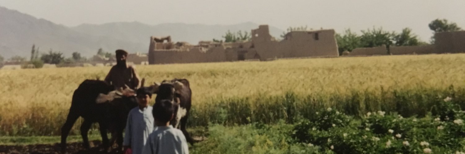 Depressed Giants Fan banner