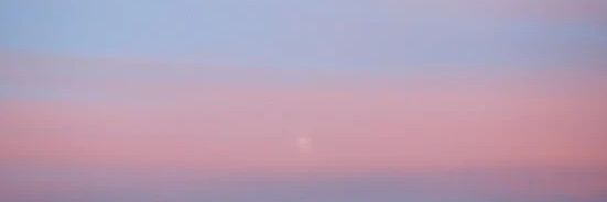 my no name ® banner
