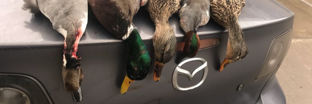 tanner_meeds's profile banner image