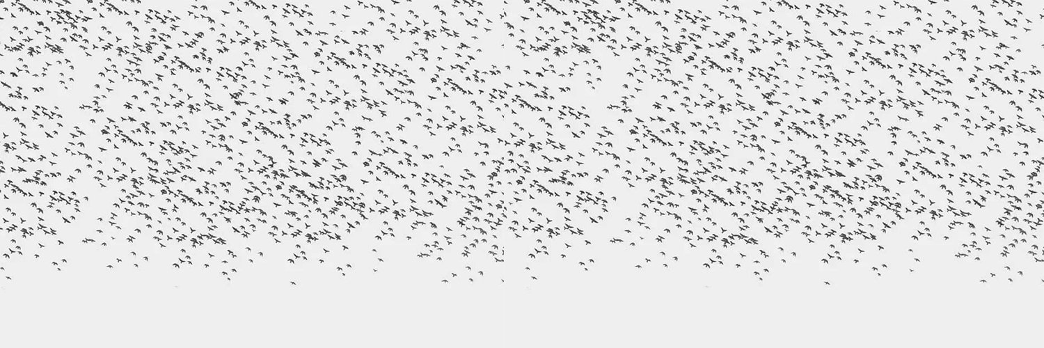 ucurtmadb's profile banner image
