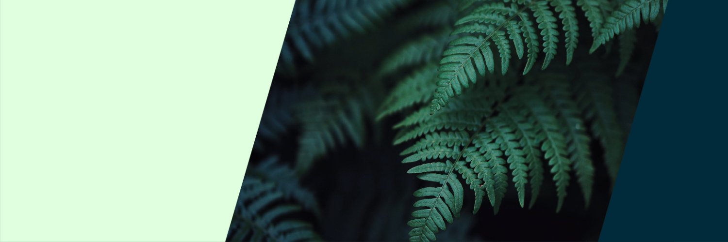 Hootsuite Partners banner