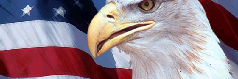 dcskins65743's profile banner image