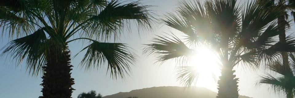 Palm Desert Patch banner