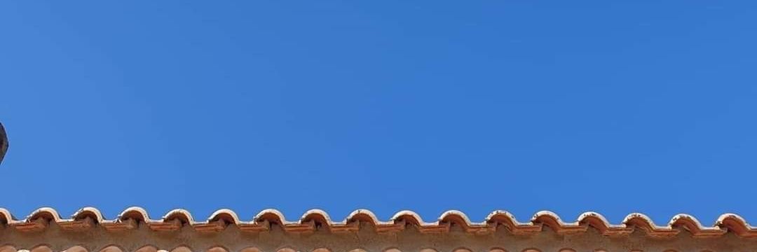 Michel Puech banner