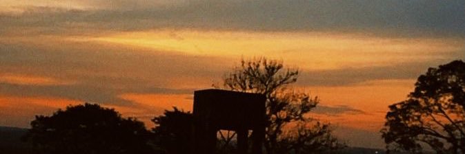 tylr_ao's profile banner image