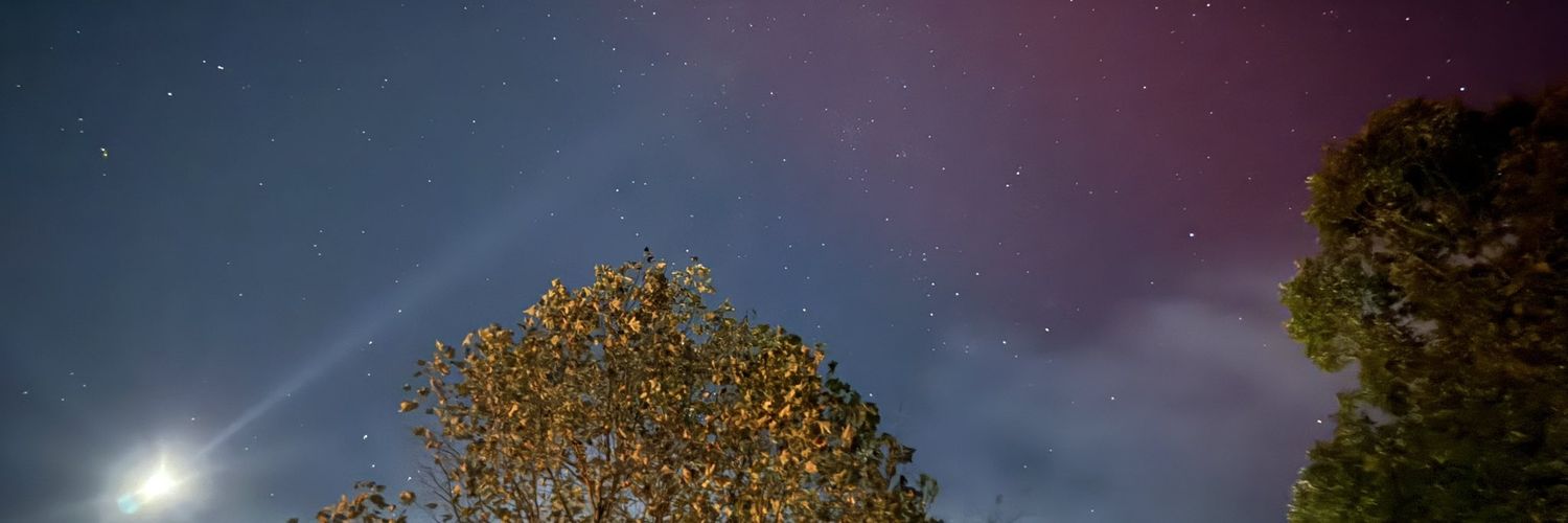 BellaRivas98's profile banner image
