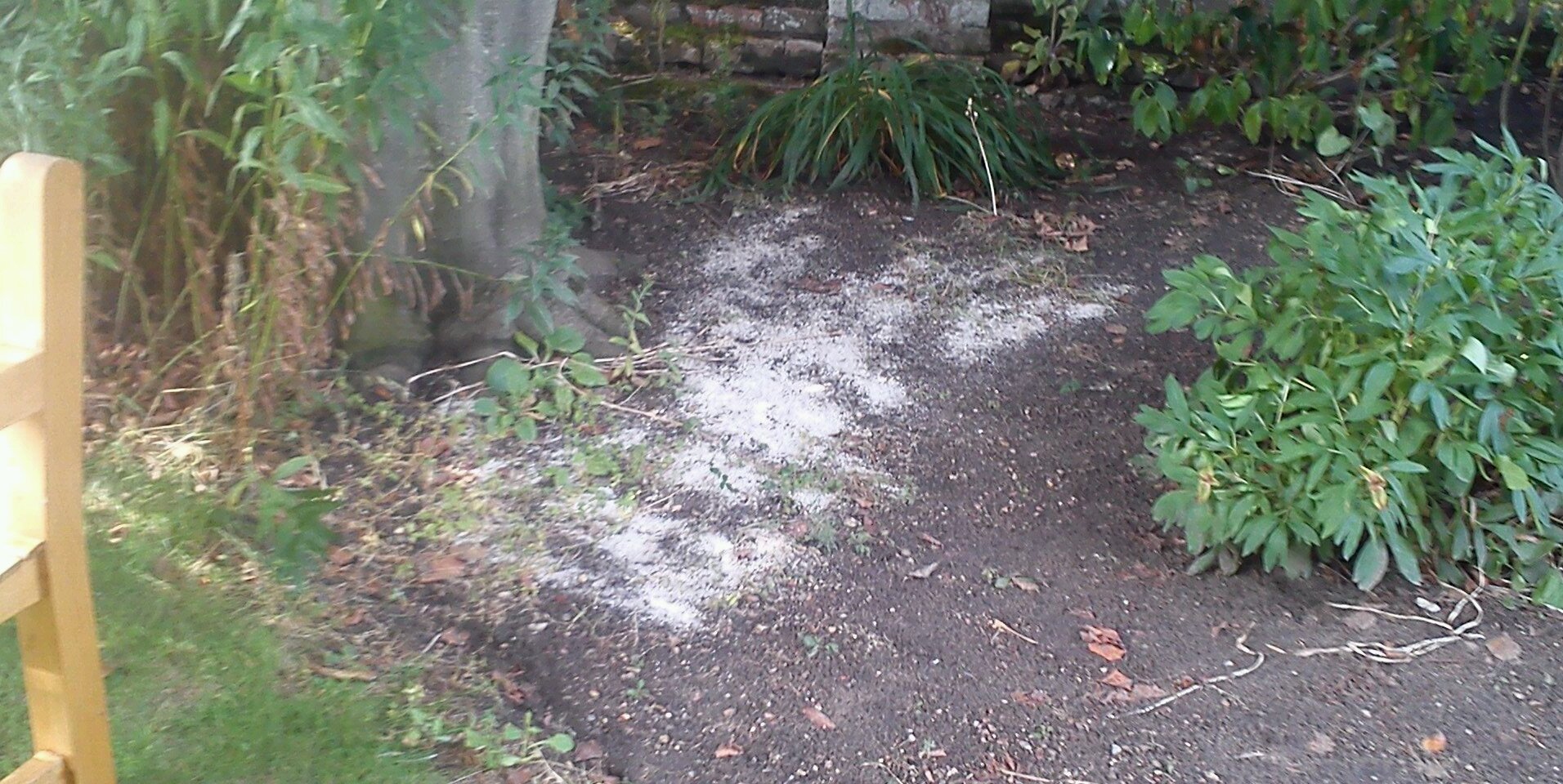 James Munford banner