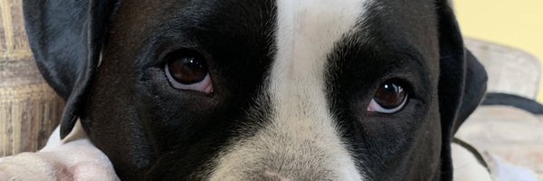 mikeymike25 Profile Banner