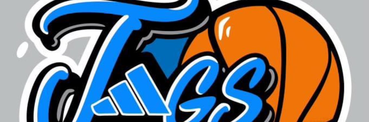 Desert Pines BBall banner